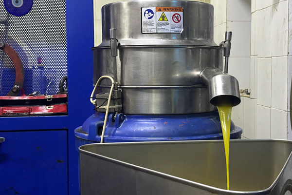 The Magic of Freshly Extracted EVOO